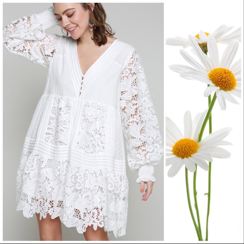 POL Romance Lovely White Lace Dress - Picture 8 of 11